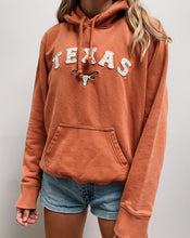 Load image into Gallery viewer, texas hoodie
